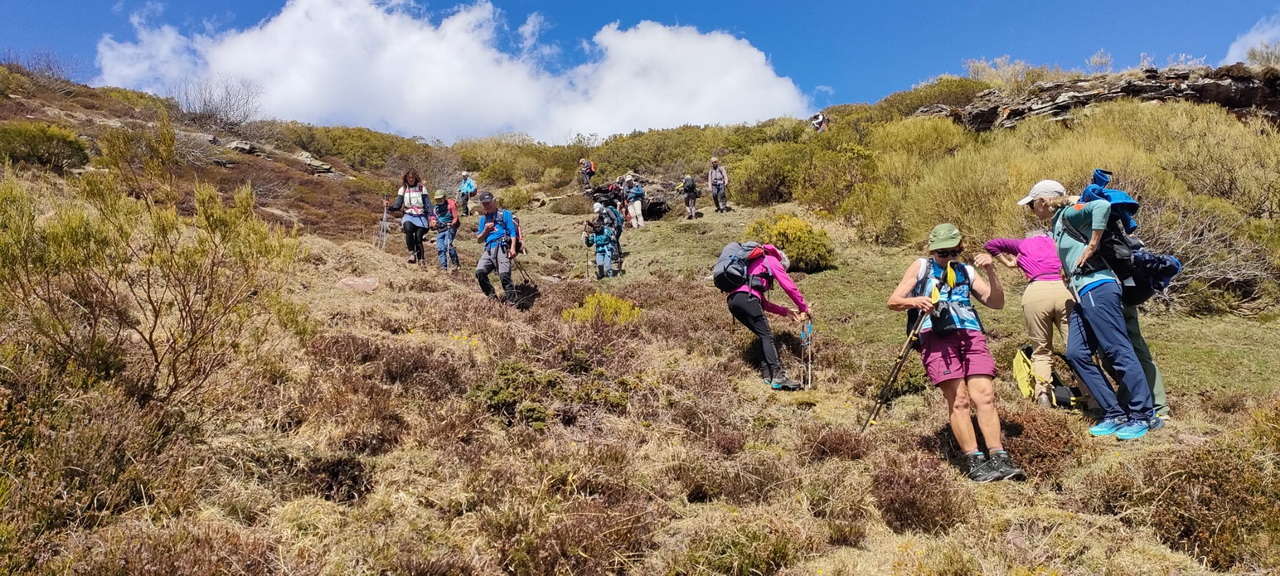 WhatsApp Image 2026-04-08 at 07.40.55 (3)